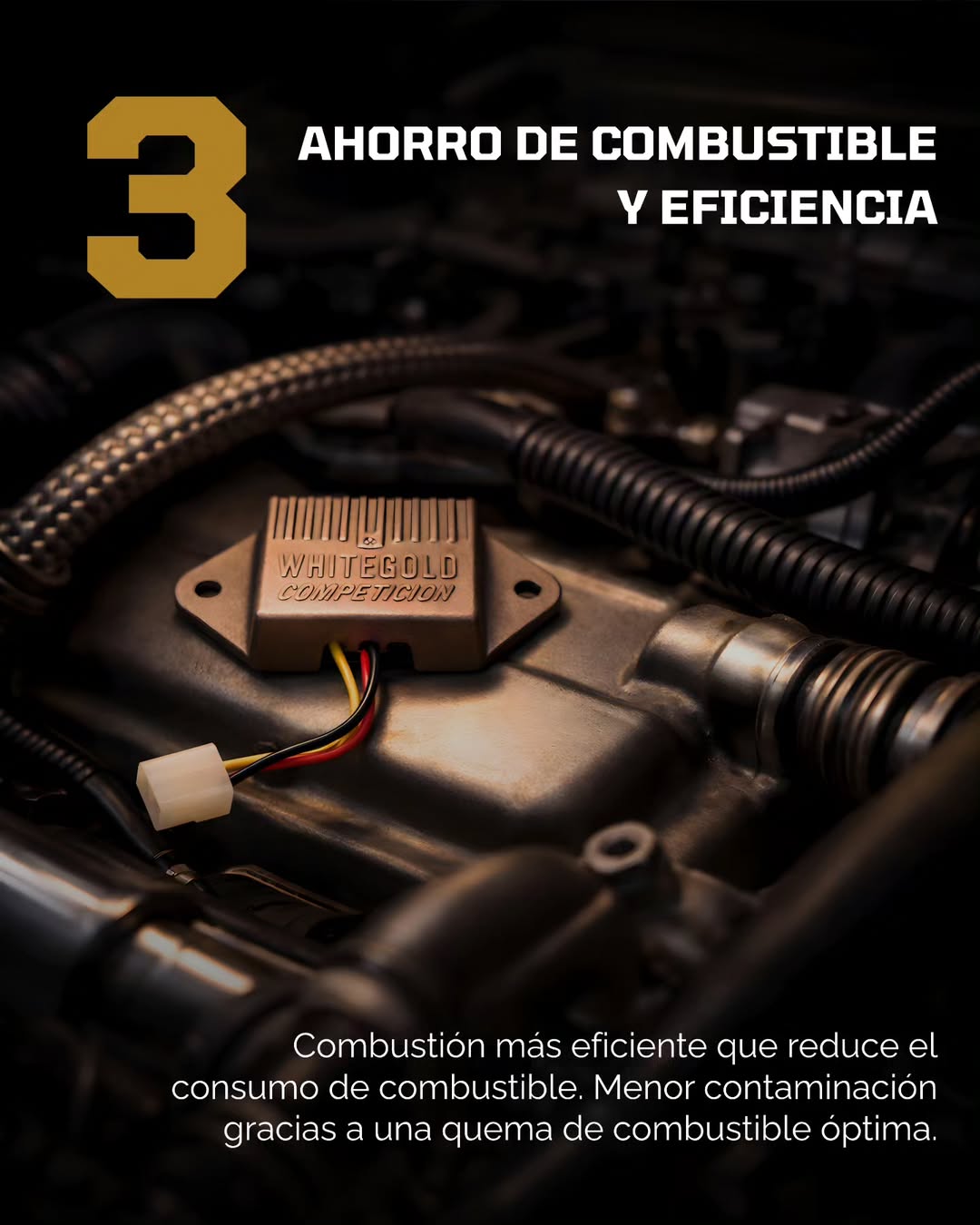 Asesoramiento experto